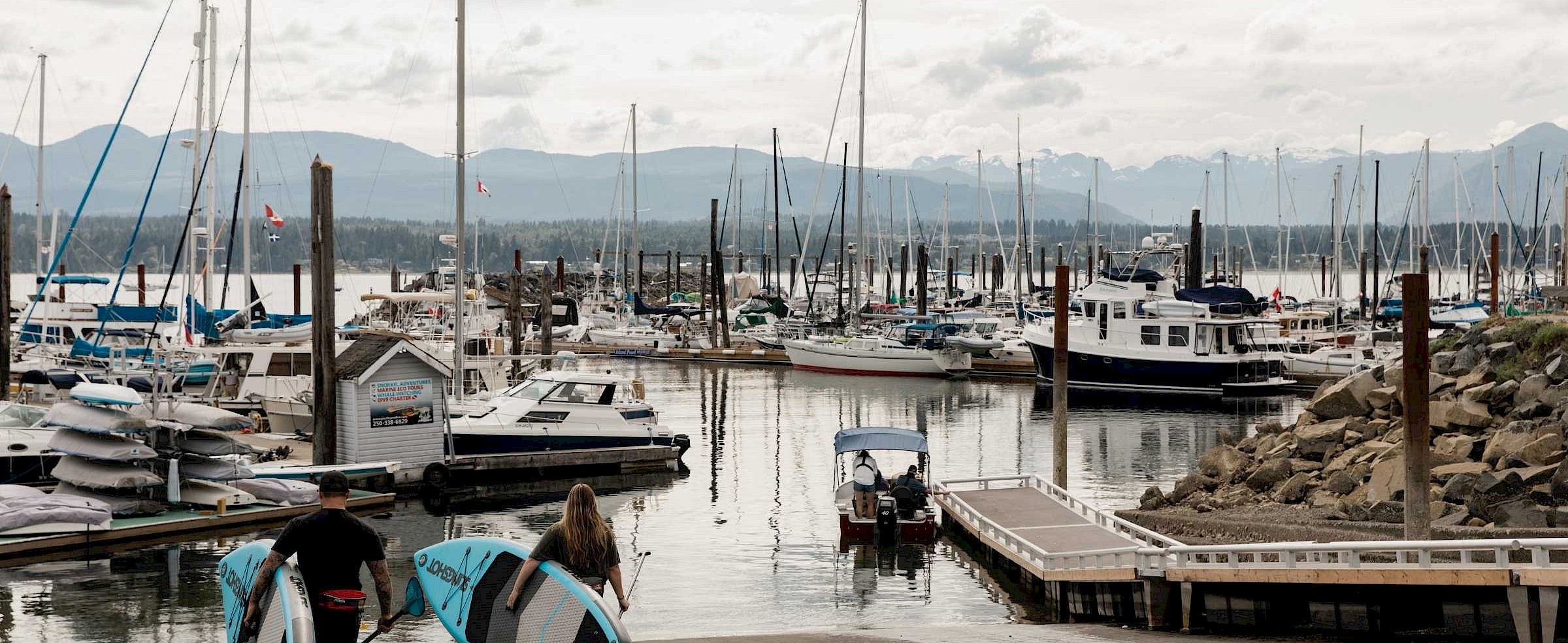 People walking towards the water with paddle boards