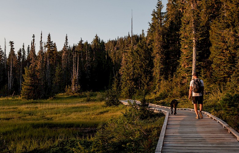 Summer in the Comox Valley